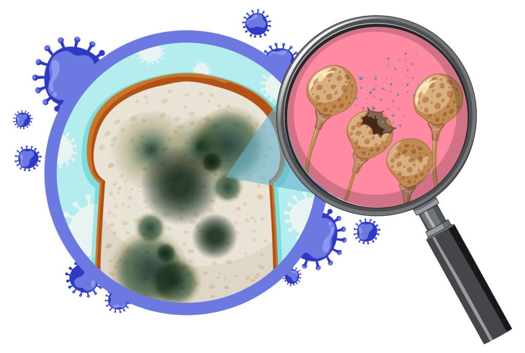 Cholera disease containment in food and water