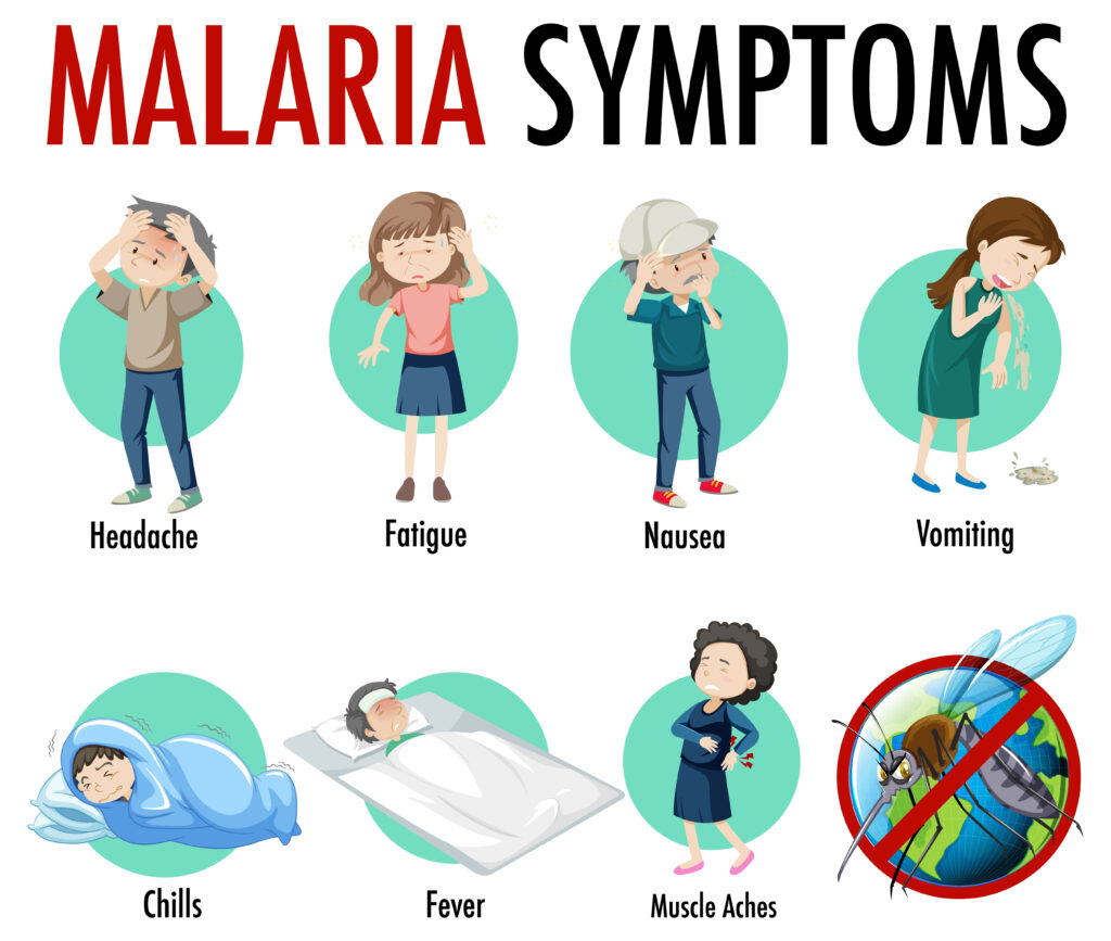 Malaria disease mosquito symptom