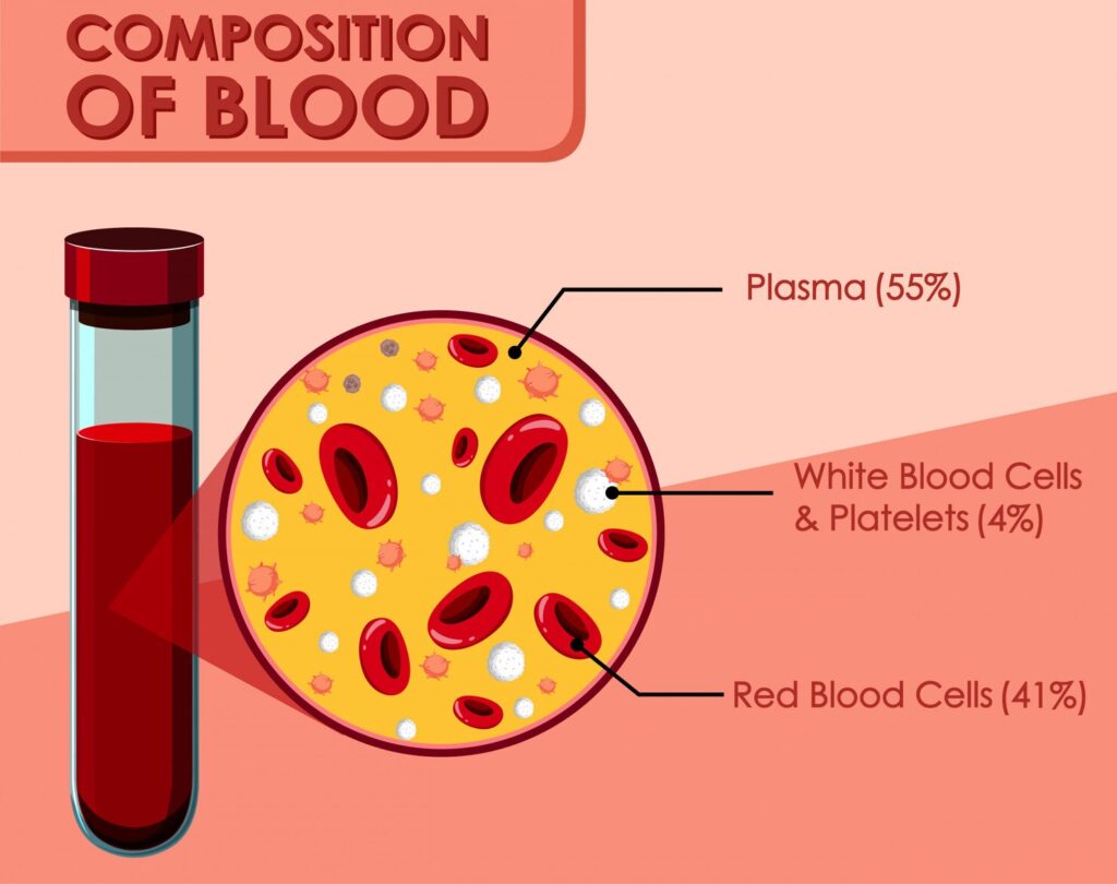 Platelet count blood dengue