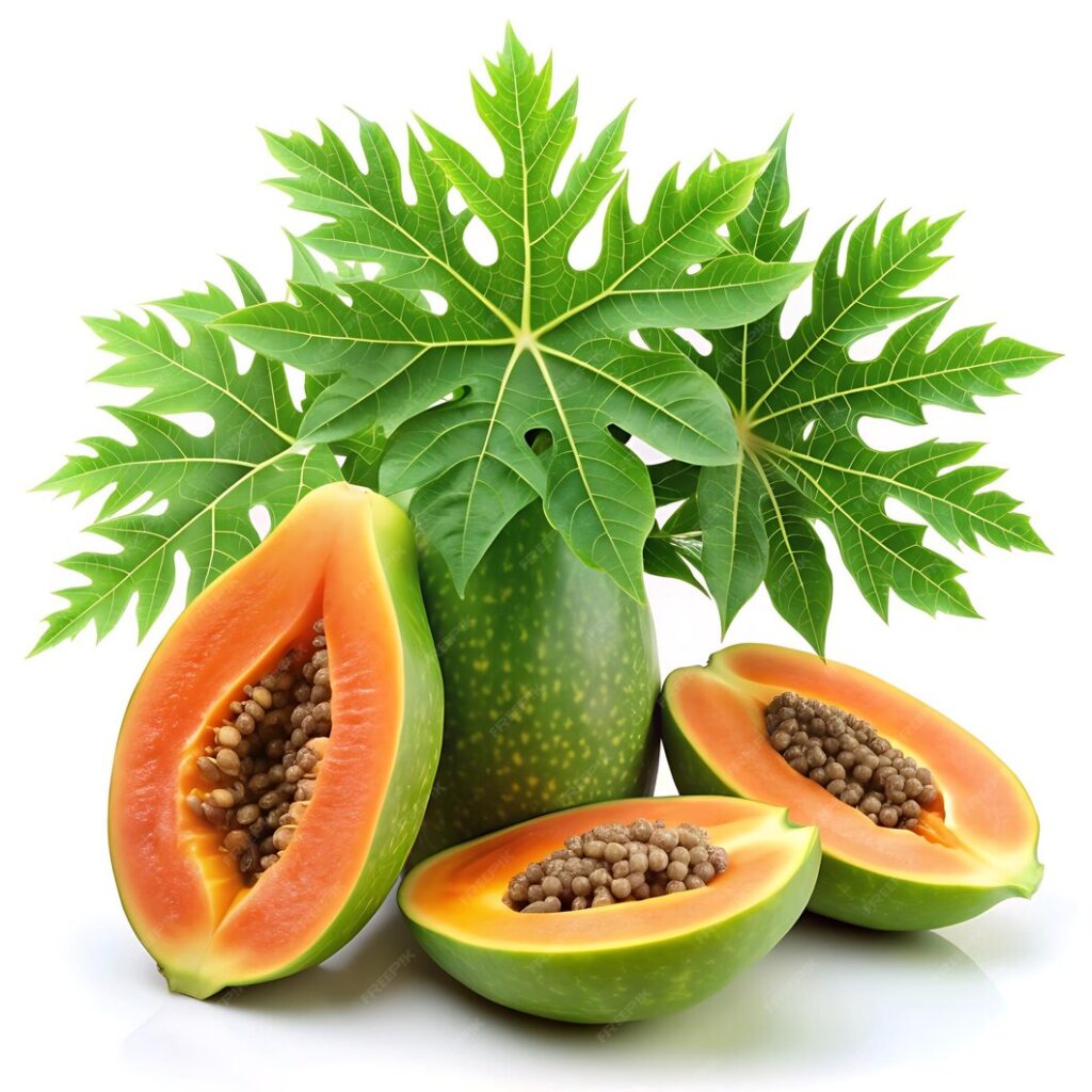 Papaya fruit green leaf dengue